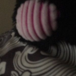 Meet your Posher, Korrina